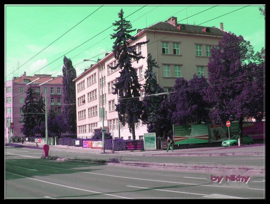 school of akciowka